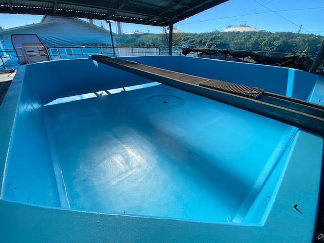 防水工事施工後の水槽