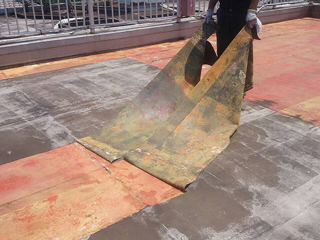 シートの撤去作業