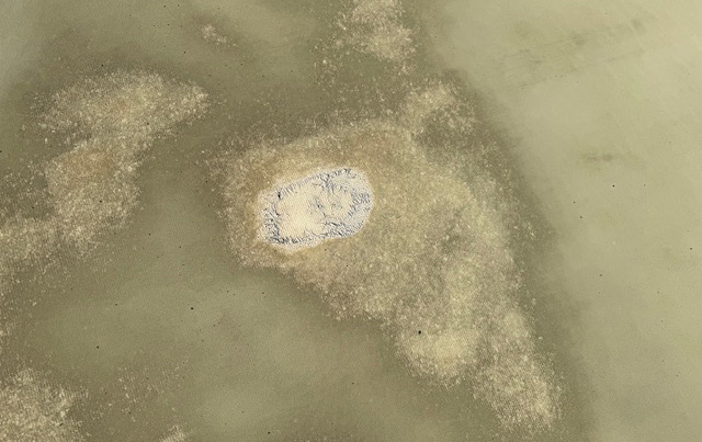 劣化した防水シート